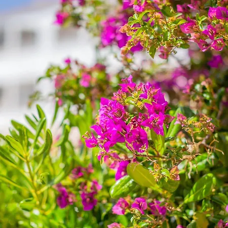Apartment Apartamento Cala'n Blanes Park Cala'N Blanes (Menorca)